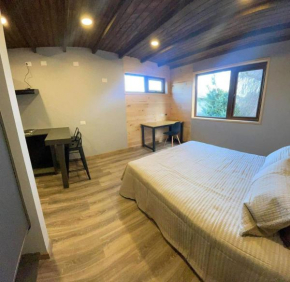 Departamento un ambiente